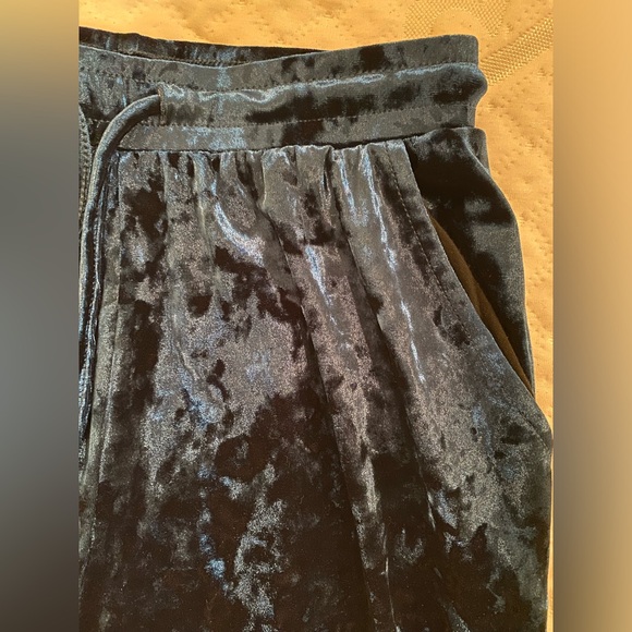 Silence and Noise crushed Velvet Pants Sz XS - Picture 3 of 5